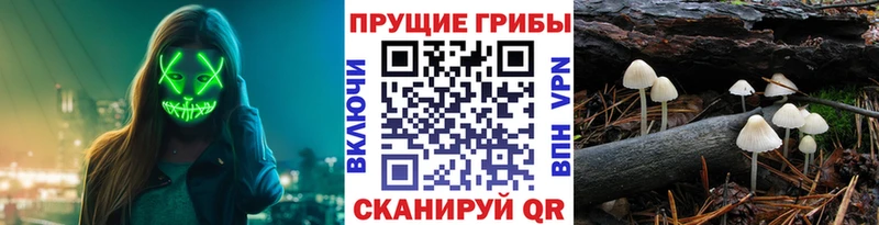 Галлюциногенные грибы мухоморы  Инза 